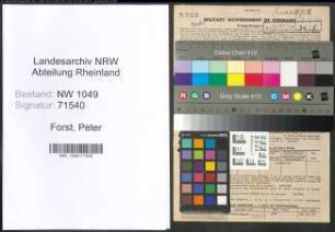 Entnazifizierung Peter Forst , geb. 28.06.1897 (Schneider)