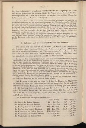 E. Grössen- und Gewichtsverhältnisse des Herzens.