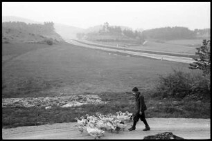 Pegnitz: Autobahn, Gänsehort an der Autobahn