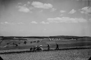Stadtteilansicht. Blick über ein Feld mit einem von Ochsen gezogenen Pflug