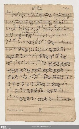 1ste Violine.