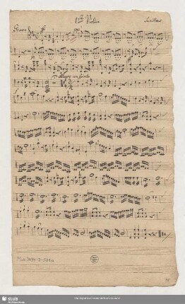 1ste Violine.