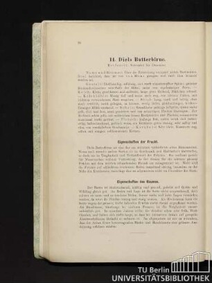 14. Diels Butterbirne.