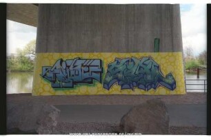 RinE SEAL