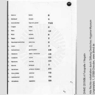 Technische Unterlage (englisch, chinesisch) - Liste der Organe einer Gläsernen Frau