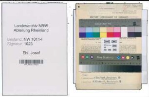 Entnazifizierung Josef Ehl , geb. 10.05.1889 (Buchhalter)
