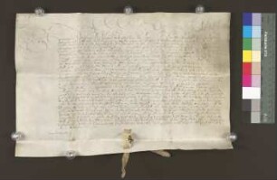 1665 Dez. 02. Graf Hermann Adolfs Revers betr. Jus aggratiandi (Begnadigungsrecht).