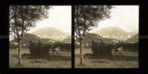 Bauern bei der Heuernte mit Gebäuden und Berg im Hintergrund