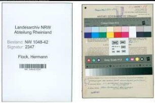 Entnazifizierung Hermann Flock , geb. 24.04.1905 (Werkzeugmacher)