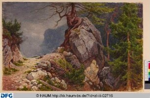 Weg vor bei an einem Felsen und Bäumen