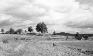 Waldhufen-Nieder Seifersdorf. Blick zum ehem. Windmühlengehöft