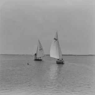 Knappensee : Segelboote auf dem Knappensee