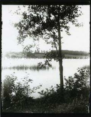 Seenlandschaft