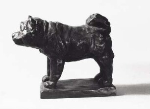 Stehender Hund (Chow-Chow) : Chinesischer Hund Tschau-Tschau (Chow-Chow). Bronze (vor 1952; E. Richter). Dresden-Striesen, Borsbergstraße 11, Atelier der Künstlerin