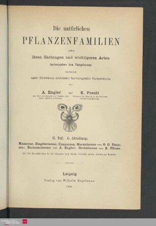 Teil 2 : Abteilung 6: Musaceae, Orchidaceae ...