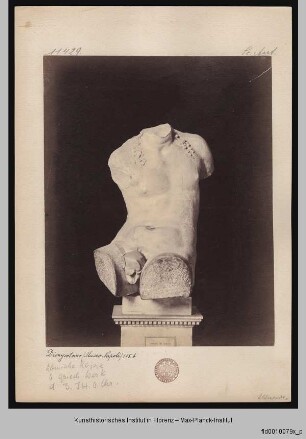 Torso Farnese