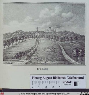 Der Wohldenberg