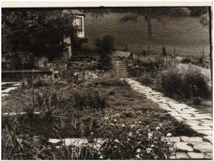 Garten Suidter, Luzern: Pflanzungen