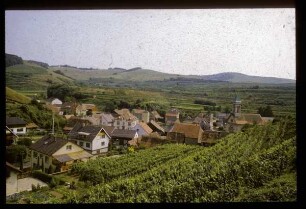 Schelingen am Kaiserstuhl