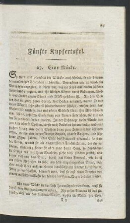 Fuenfte Kupfertafel.