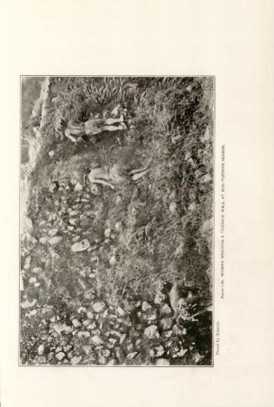 Plate LIV. Women weeding a terrace wall at soil-turning season
