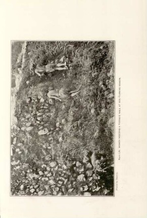 Plate LIV. Women weeding a terrace wall at soil-turning season