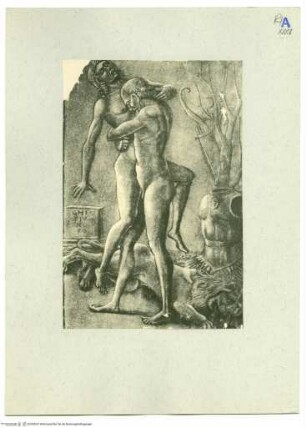 Herkules und Anthäus