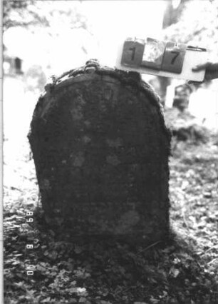 Grabstein 197 (Index: 99800026) Material: Sandstein Zustand: verwittert Maße HxBxT: 89x57x12 cm Beschreibung: Stele, Rundbogenabschluß, Schriftfeld eingetieft Symbolik: Rosette: Grabstein 197 (2)