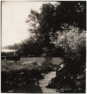 Garten Niemczyk, Potsdam-Nedlitz: Crambe und Blick über dem Garten