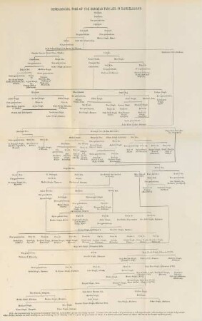 Genealogical tree of the bundela families in Bundelkhand