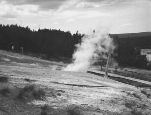Geysir : Blick auf einen Geysir im Norris-Geysir-Becken am nordwestlichen Rand der Caldera des Yellowstone-Vulkans.