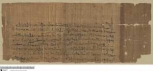 Demotischer Papyrus, Kaufvertrag über trächtige Kuh
