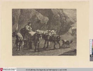 [Die Hirtin an der Felsquelle; Herds and cattle, donkeys and a goat, in a rocky landscape]