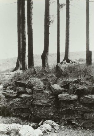 Werraquelle, hintere bei Siegmundsburg (Thür.)