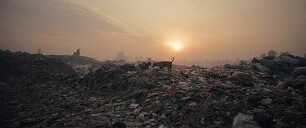 Plastic Fantastic
