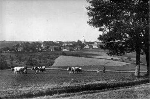 Ortsansicht von der Schmalzgrubner Straße