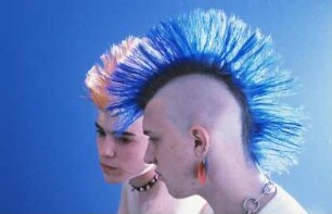 Zwei Punks mit Irokesenschnitt