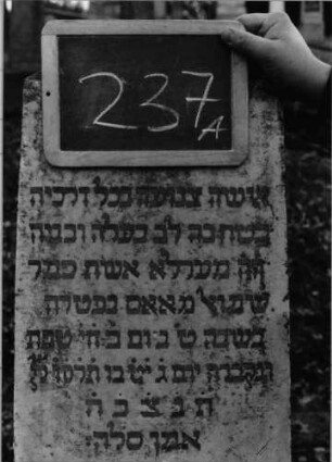 Grabstein 237 (Index: 100090336) Material: Sandstein o. Marmor/Bleibuchstaben Zustand: gut Maße HxBxT: 152x38x30 cm Beschreibung: Obelisk, Sockel: Grabstein 237A