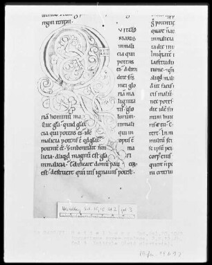 Expositio psalmorum Aurelii Augustini — Initiale Q(uid gloriaris), Folio 3recto