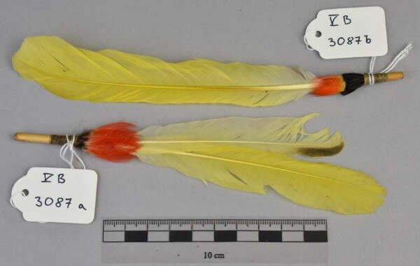 Ear feathers