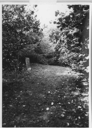 Jüdischer Friedhof; Waldsolms, Alter Berg
