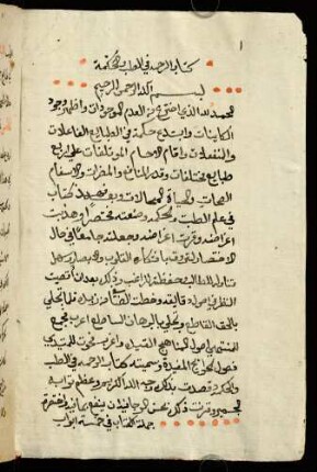 Medizinisches Handbuch