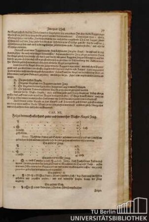 Cap. XII. Folget demnach allerhand guter und bewerther Wasser-Kugel-Zeug.