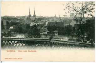 Grimma. Blick vom Stadtwald