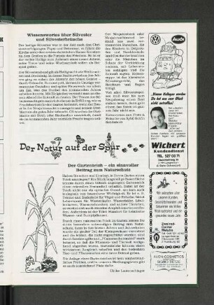 Wissenswertes über Silvester und Silvesterbräuche