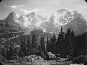 Jungfraugruppe / Eiger, Mönch und Jungfrau