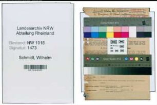 Entnazifizierung Wilhelm Schmidt , geb. 08.04.1890 (Buchhalter)