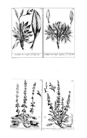 165-168