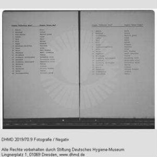 Technische Unterlagen - "Organe Gläserner Mann" und "Organe Gläserne Frau"