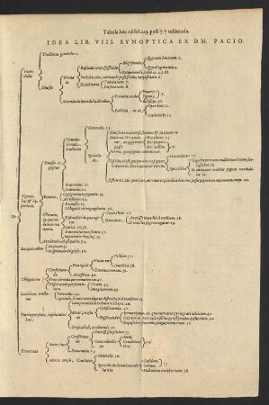 Idea Lib. VIII. Synoptica Ex Dn. Pacio